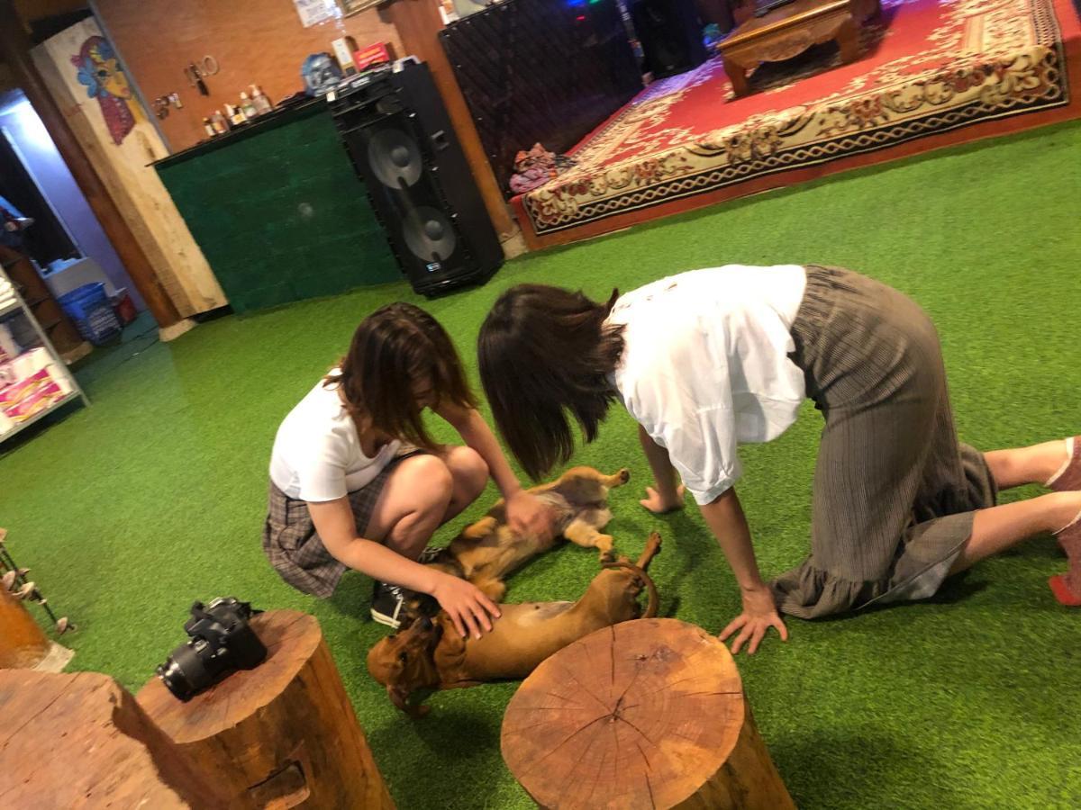 Aladdin Farmstay Dong Vanハザン エクステリア 写真